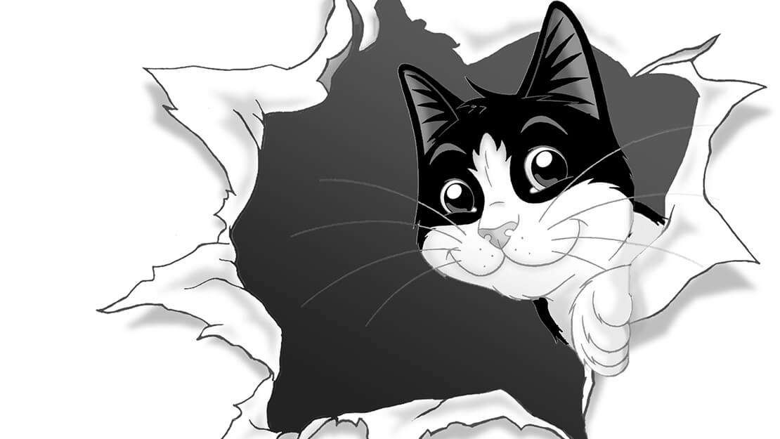 Felix Cat Food: Balanced Diets for Clever Cats | Purina